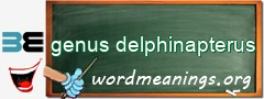 WordMeaning blackboard for genus delphinapterus